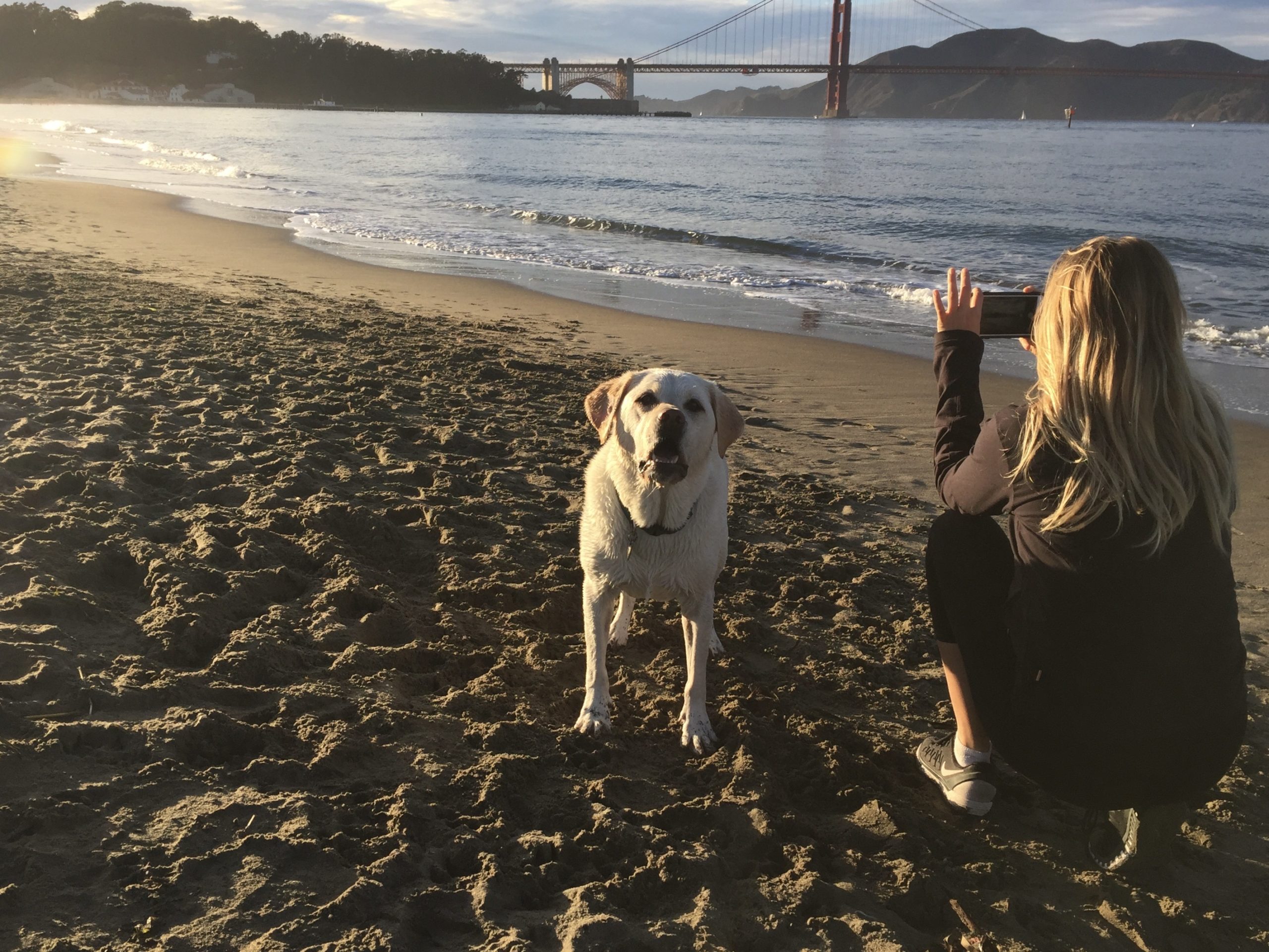 Woman and dog on beach
