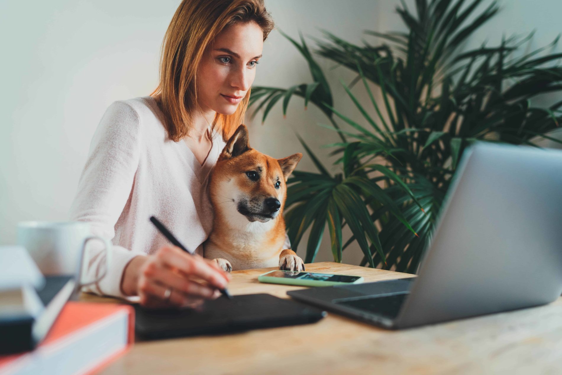 Woman and dog at computer
