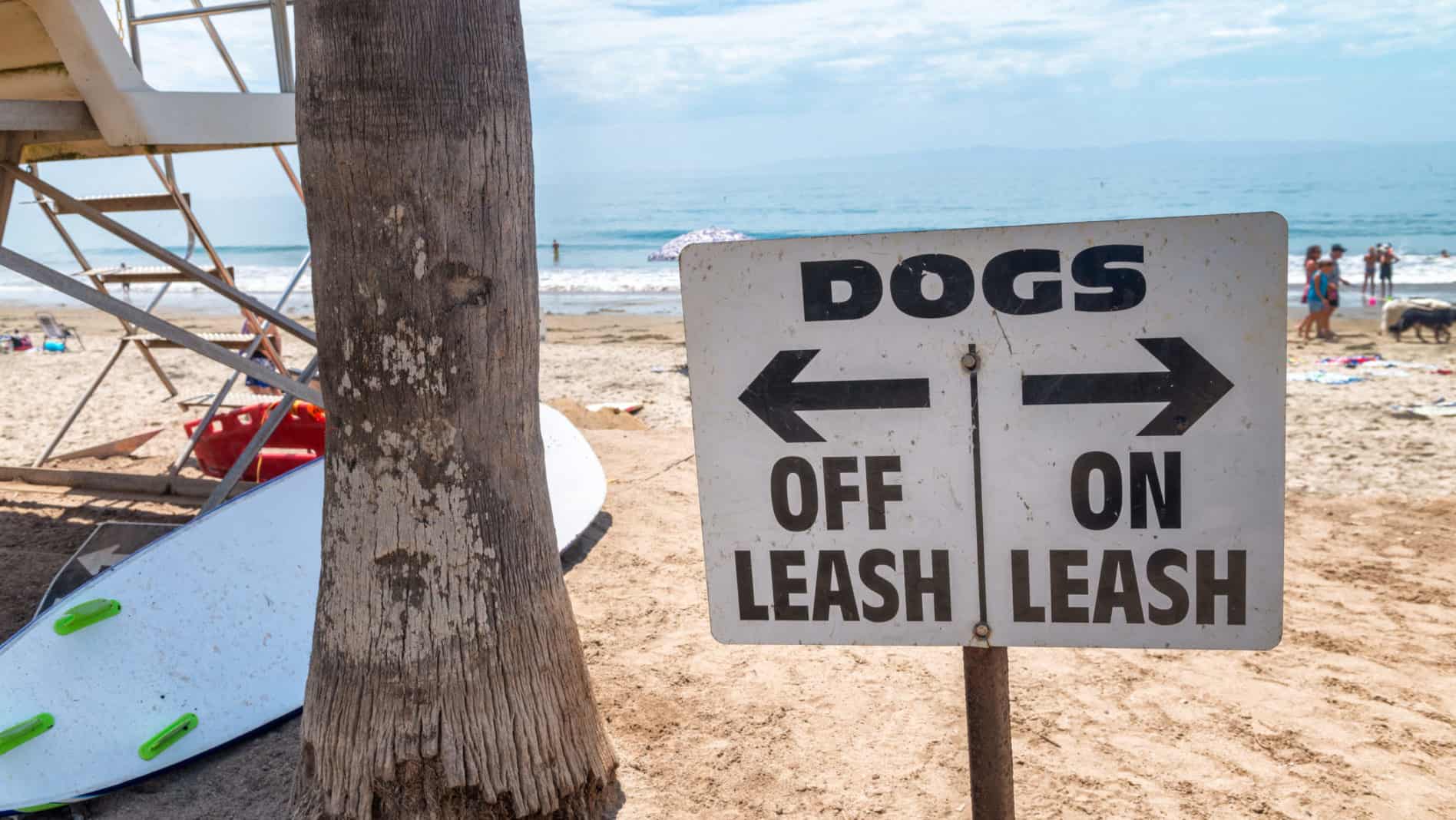 Dog leash sign on beach